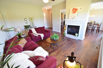 See Thru Fireplace