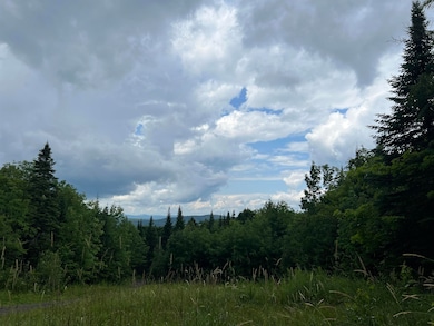 98 Sugar Hill Rd, Stewartstown, NH 03576 - photo 4