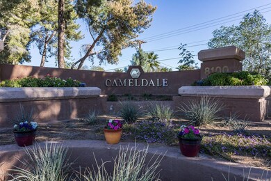 Cameldale Community
