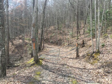 keene 4