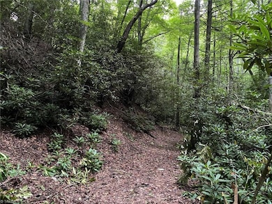 TBD Scout Rd, Lenoir, NC 28645 - photo 6