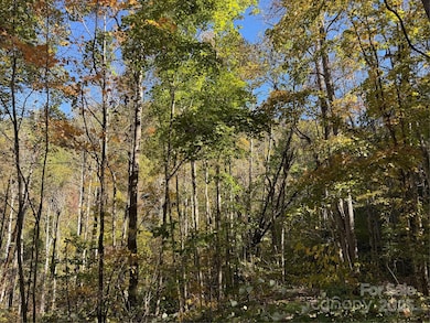 000 Hamburg Rd unit 17, Mars Hill, NC 28754 - photo 7