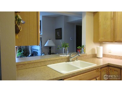 view from kitchen