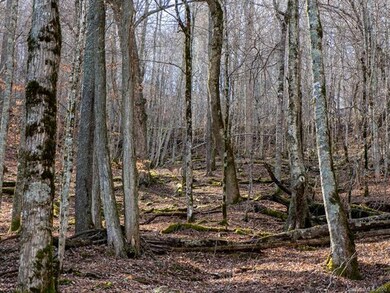 999 Mountain Gait Dr unit 13, Mars Hill, NC 28754 - photo 7