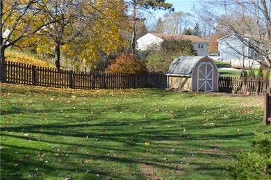Spacious yard and shed