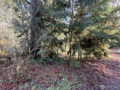 0 High Ridge Dr unit NWM2348116, Marblemount, WA 98267 - photo 6