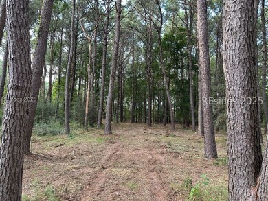 464 Paige Point Bluff, Seabrook, SC 29940 - photo 3