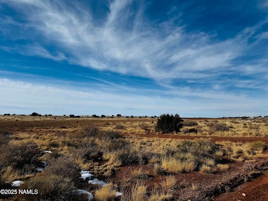 3584 E Wingfield Rd, Grand Canyon Junction, AZ 86046 - photo 3