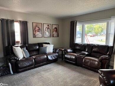 1114 7th Ave N, Humboldt, IA 50548 - photo 7