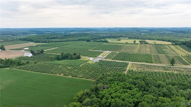 6258 Hill Rd, Sodus, NY 14551 - photo 3