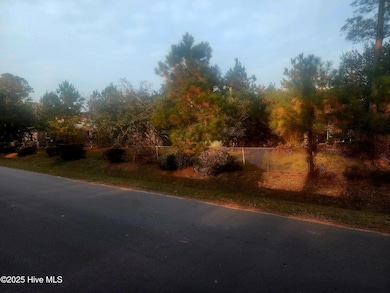 1050 Davidson Ave NE, Leland, NC 28451 - photo 3