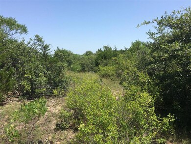 TBD Oak Ridge Estate, Springtown, TX 16082 - photo 7