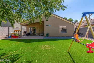 Newly designed back yard