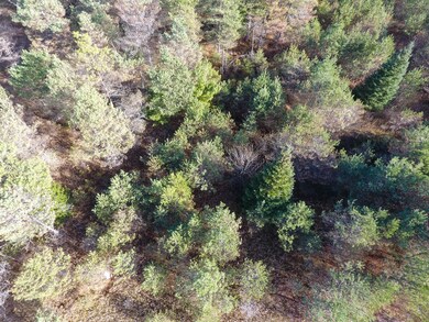 DJI_0077