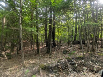 PXL_20250619_210737300