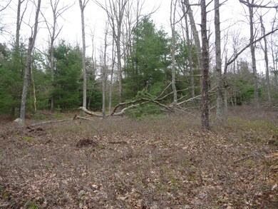 Woods