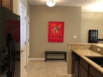 714 Aqua Marine Blvd unit 33, Avon Lake, OH 44012 - photo 6