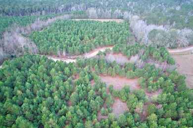 Lot 1 - TBD New Pine Rd, Johnsonville, SC 29555 - photo 3