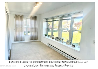 new southern exposure