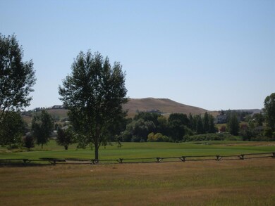 course views