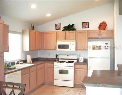 16238 Egret Hill St, Clermont, FL 34714 - photo 2