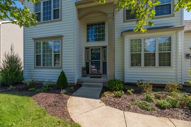 7541 Haflinger Circle-2