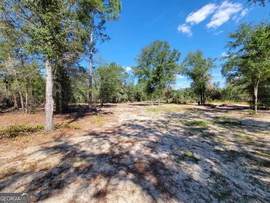 22 Meadowlark Ln, Twin City, GA 30471 - photo 4