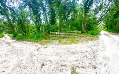 TBD NE Sage Rd, Mayo, FL 32066 - photo 5