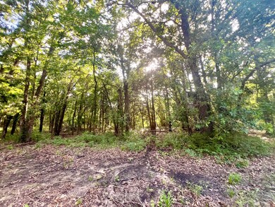 12295 S Bee Emet Rd, Milburn, OK 73450 - photo 2