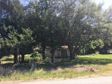 Mardi Gras Rd. Pic 4