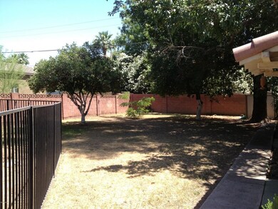 Grass common area