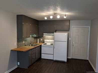 1220 8th St NE unit F, Hickory, NC 28601 - photo 2