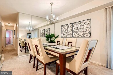 103 Fitz Ct unit T2, Reisterstown, MD 21136 - photo 6