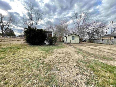 407 Marsh St, Harrisburg, IL 62946 - photo 3