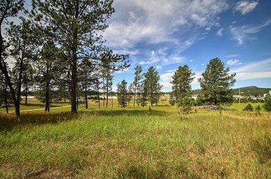 12236 Buffalo Ridge unit 12236 Buffalo Ridge, Custer, SD 57730 - photo 6