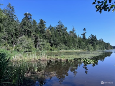 11024 Matthews Way, Anderson Island, WA 98303 - photo 7