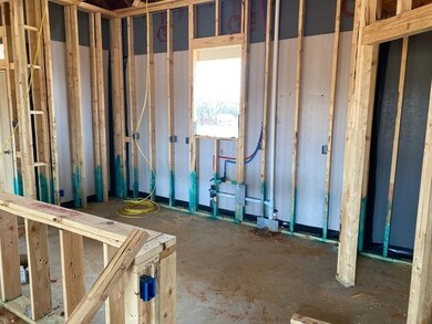 1248 County Road 4797, Boyd, TX 76023 - photo 4