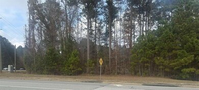 0 Hilo Rd unit 7684427, Fayetteville, GA 30215 - photo 4