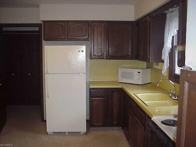 652 Lakeview Dr, Lodi, OH 44254 - photo 7