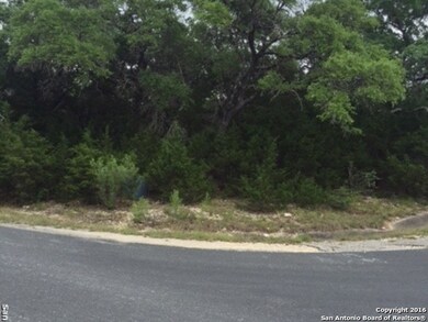 22909 Central Prairie, San Antonio, TX 78255 - photo 2