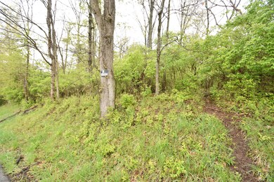 Tract 5 at Dean Rd, Harrodsburg, KY 40330 - photo 5