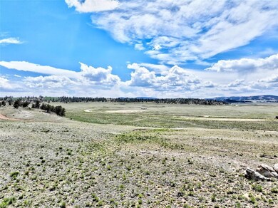 656 Ute Trace, Hartsel, CO 80449 - photo 7
