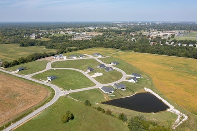 Aerial view of subdivision