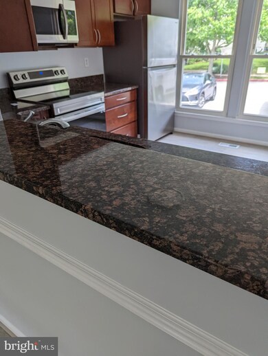 7522 Rain Flower Way, Columbia, MD 21046 - photo 4