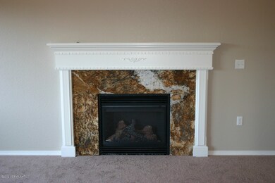 Direct Vent Gas Fireplace