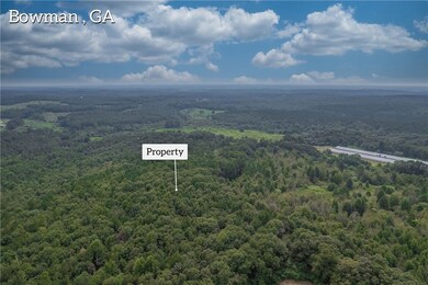 0 W Hendricks St, Bowman, GA 30624 - photo 7