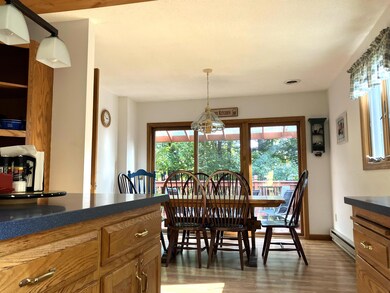 21 Splatter Foot Close unit M436, Wilmington, VT 05363 - photo 5