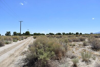 14500 E Avenue R, Juniper Hills, CA 93543 - photo 6