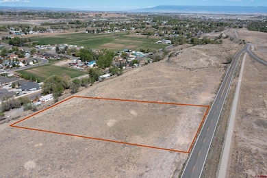 TBD Sunset Mesa Lot 3 Rd, Montrose, CO 81403 - photo 2