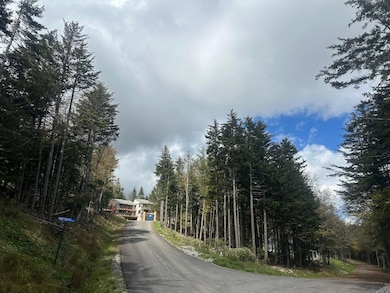 17 First Tracts Blvd, Snowshoe, WV 26209 - photo 5